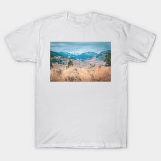 Snowcapped Mountain View from Desert Grasslands T-Shirt